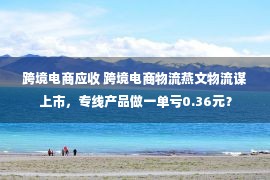 跨境电商应收 跨境电商物流燕文物流谋上市，专线产品做一单亏0.36元？