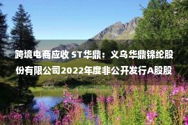 跨境电商应收 ST华鼎：义乌华鼎锦纶股份有限公司2022年度非公开发行A股股票预案