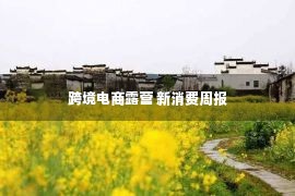 跨境电商露营 新消费周报