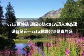 csla 区块链 超级公链CSLA迈入生态建设新纪元—csla超级公链是真的吗