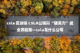 csla 区块链 CSLA公链以“硬实力”成业界翘楚—csla是什么公司