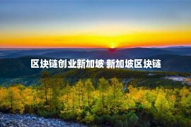 区块链创业新加坡 新加坡区块链