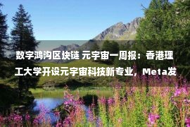 数字鸿沟区块链 元宇宙一周报：香港理工大学开设元宇宙科技新专业，Meta发布Quest Pro头显