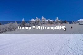 trump 合约 (trump集团)