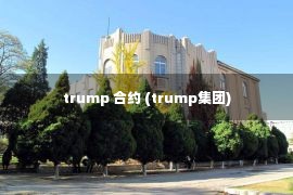 trump 合约 (trump集团)