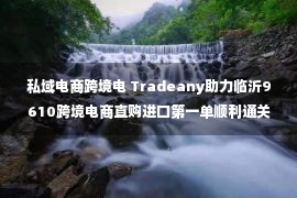 私域电商跨境电 Tradeany助力临沂9610跨境电商直购进口第一单顺利通关