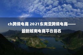 ch跨境电商 2021东南亚跨境电商——最新越南电商平台排名