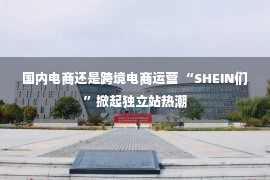 国内电商还是跨境电商运营 “SHEIN们”掀起独立站热潮