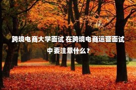 跨境电商大学面试 在跨境电商运营面试中要注意什么？