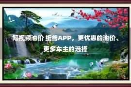 短视频油价 纸鸢APP，更优惠的油价、更多车主的选择