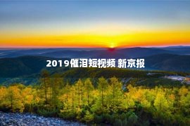 2019催泪短视频 新京报