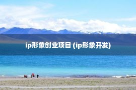 ip形象创业项目 (ip形象开发)