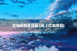 红包码创业项目 (码上红包项目)