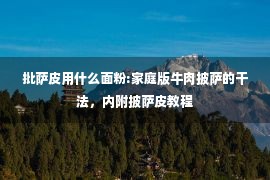 批萨皮用什么面粉:家庭版牛肉披萨的干法，内附披萨皮教程