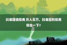 抖音赚钱指南 月入百万，抖音赢利指南领会一下？