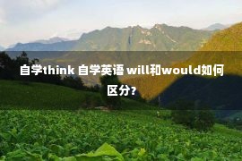 自学think 自学英语 will和would如何区分？