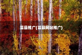 莒县推广(莒县网站推广)