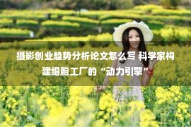 摄影创业趋势分析论文怎么写 科学家构建细胞工厂的“动力引擎”