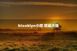 blooklyn小吃 吃遍大连