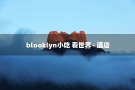 blooklyn小吃 看世界 · 酒店