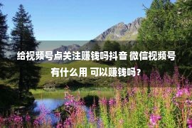 给视频号点关注赚钱吗抖音 微信视频号有什么用 可以赚钱吗？