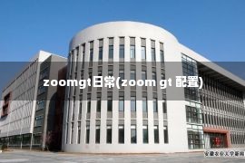 zoomgt日常(zoom gt 配置)