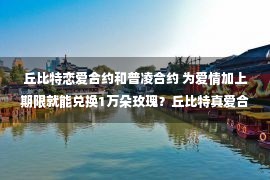 丘比特恋爱合约和普凌合约 为爱情加上期限就能兑换1万朵玫瑰？丘比特真爱合约走红网络