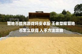 营地币能充游戏吗安卓版 王者荣耀营地币怎么获得 入手方法攻略