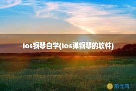 ios钢琴自学(ios弹钢琴的软件)