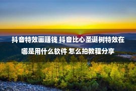 抖音特效画赚钱 抖音比心圣诞树特效在哪是用什么软件 怎么拍教程分享