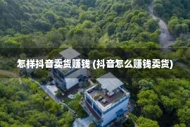 怎样抖音卖货赚钱 (抖音怎么赚钱卖货)