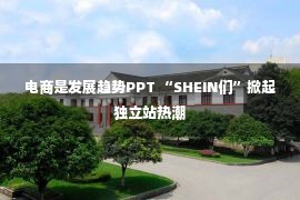 电商是发展趋势PPT “SHEIN们”掀起独立站热潮