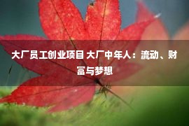 大厂员工创业项目 大厂中年人：流动、财富与梦想