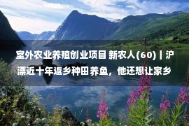 室外农业养殖创业项目 新农人(60)丨沪漂近十年返乡种田养鱼，他还想让家乡父老吃上“旅游饭”