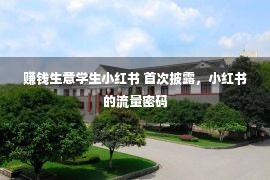 赚钱生意学生小红书 首次披露，小红书的流量密码