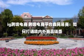 ig跨境电商 跨境电商平台鑫网易商：如何打通境内外商品链条