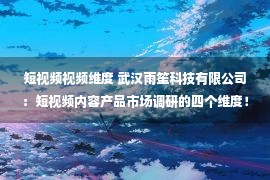 短视频视频维度 武汉雨笙科技有限公司：短视频内容产品市场调研的四个维度！