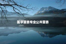 医学营养专业公共营养 