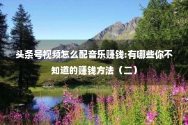 头条号视频怎么配音乐赚钱:有哪些你不知道的赚钱方法（二）