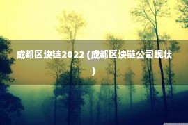 成都区块链2022 (成都区块链公司现状)