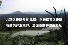 北京区块链考察 北京：积极培育区块链等新兴产业集群；法国戛纳将城市地标拍卖载入元宇宙｜资讯周刊