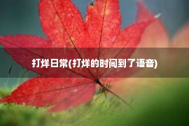 打烊日常(打烊的时间到了语音)