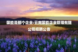 国能是那个企业:云南国能企业管理有限公司招聘公告