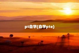 pt自学(自学pte)