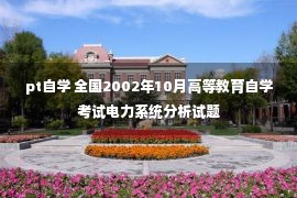 pt自学 全国2002年10月高等教育自学考试电力系统分析试题