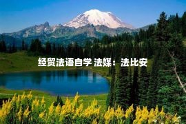 经贸法语自学 法媒：法比安