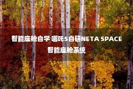 智能座舱自学 哪吒S自研NETA SPACE智能座舱系统