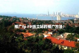 推广fp FP独立站的推广方法！