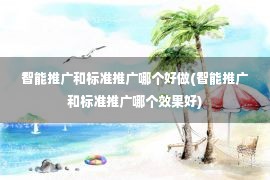 智能推广和标准推广哪个好做(智能推广和标准推广哪个效果好)