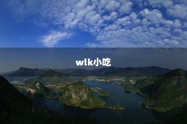 wlk小吃